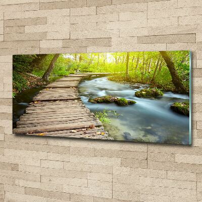 Acrylic wall art Path over the river