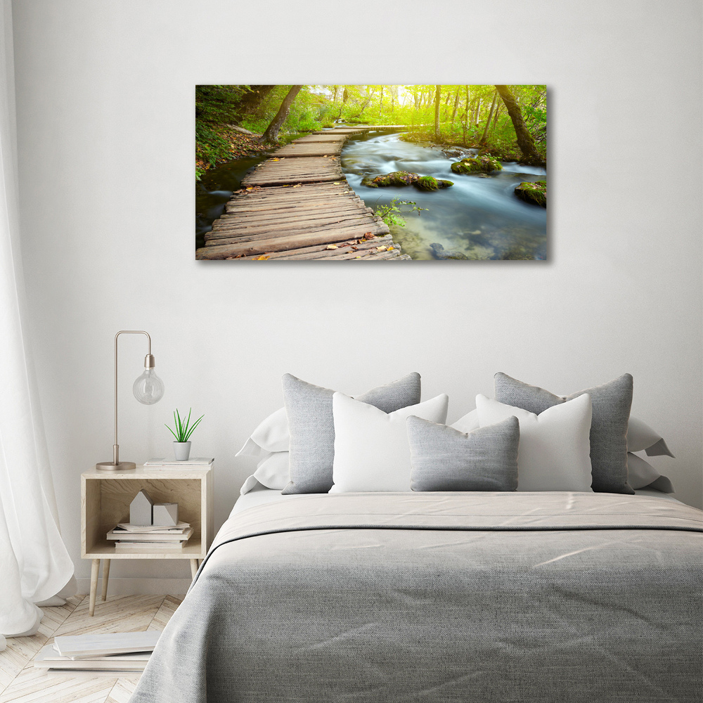 Acrylic wall art Path over the river