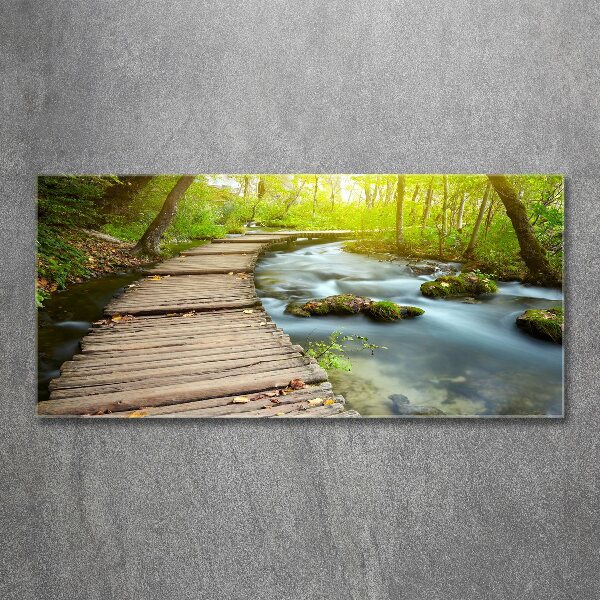 Acrylic wall art Path over the river