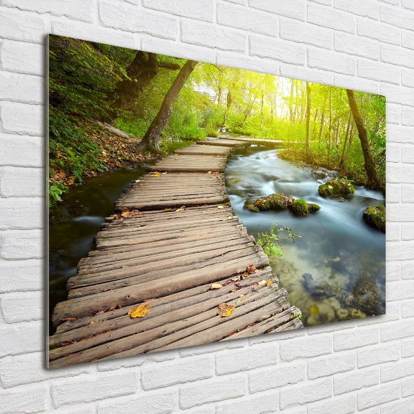 Acrylic wall art Path over the river