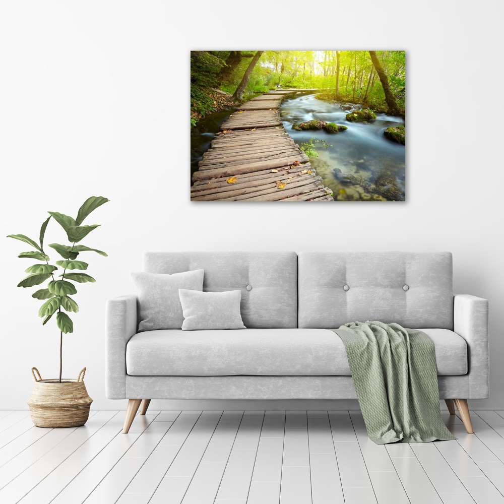 Acrylic wall art Path over the river