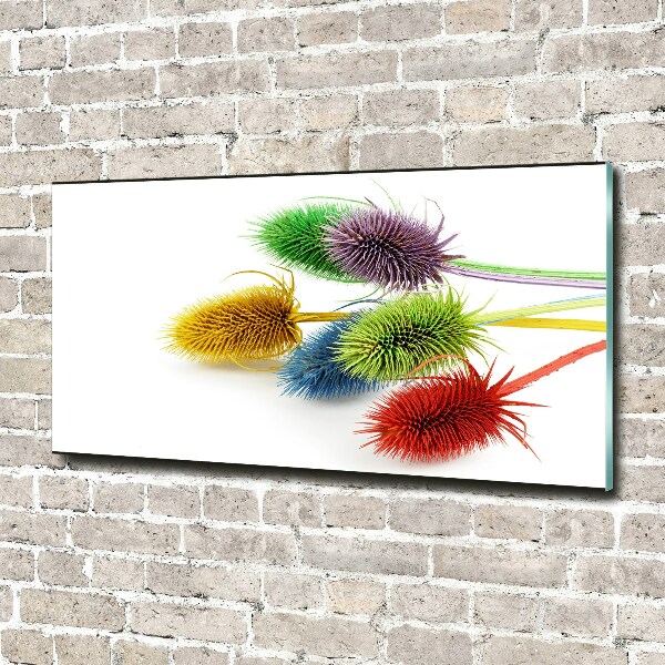 Wall art acrylic Thistle