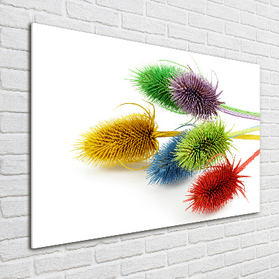 Wall art acrylic Thistle