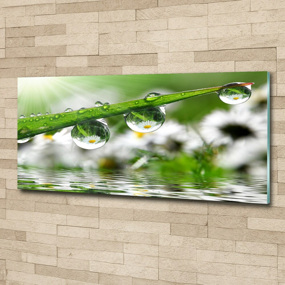 Wall art acrylic Drops on the grass