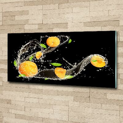 Wall art acrylic Apricots and water