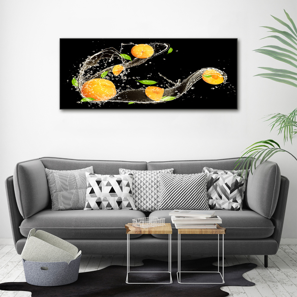 Wall art acrylic Apricots and water