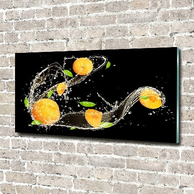 Wall art acrylic Apricots and water