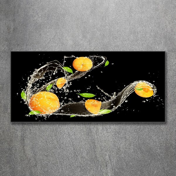 Wall art acrylic Apricots and water