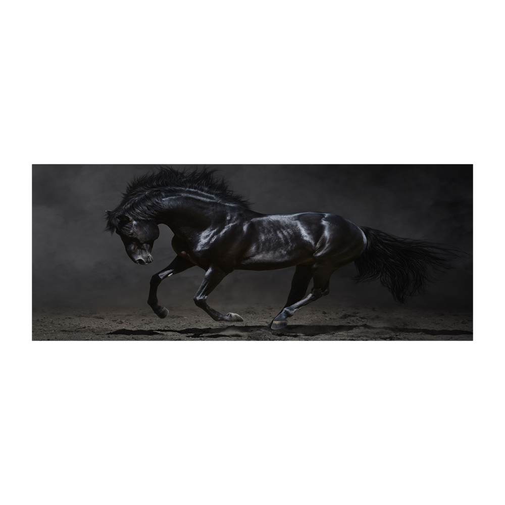 Wall art acrylic Black Horse