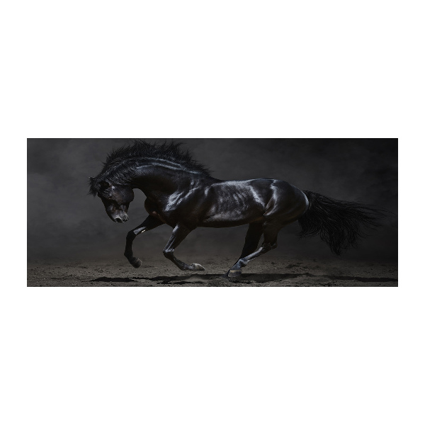 Wall art acrylic Black Horse