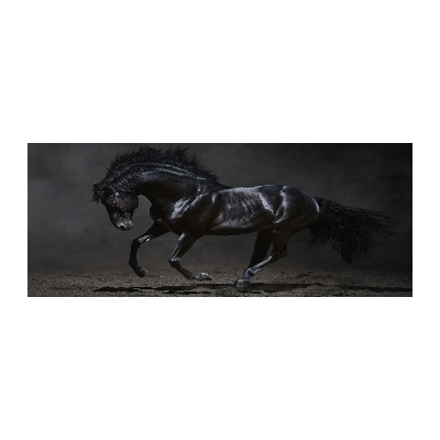 Wall art acrylic Black Horse