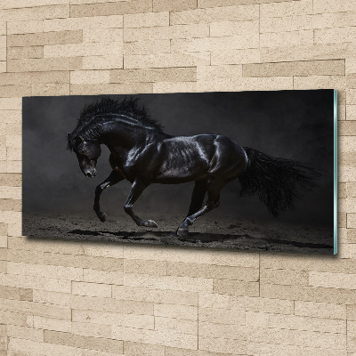 Wall art acrylic Black Horse