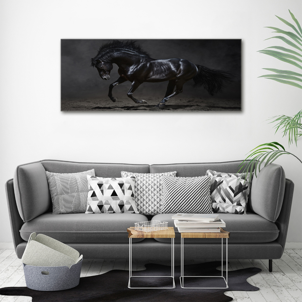 Wall art acrylic Black Horse