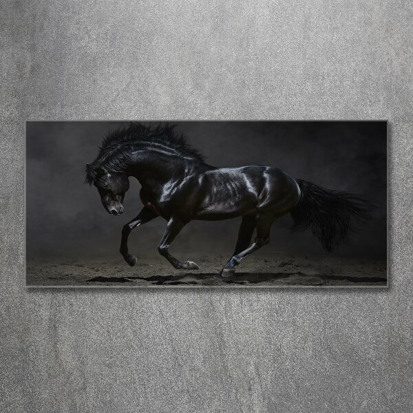 Wall art acrylic Black Horse