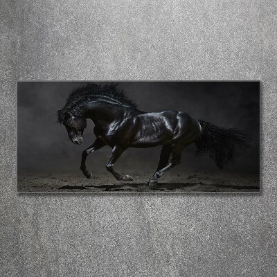 Wall art acrylic Black Horse