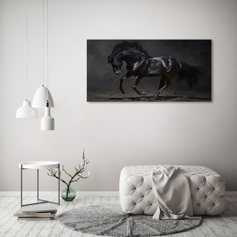 Wall art acrylic Black Horse