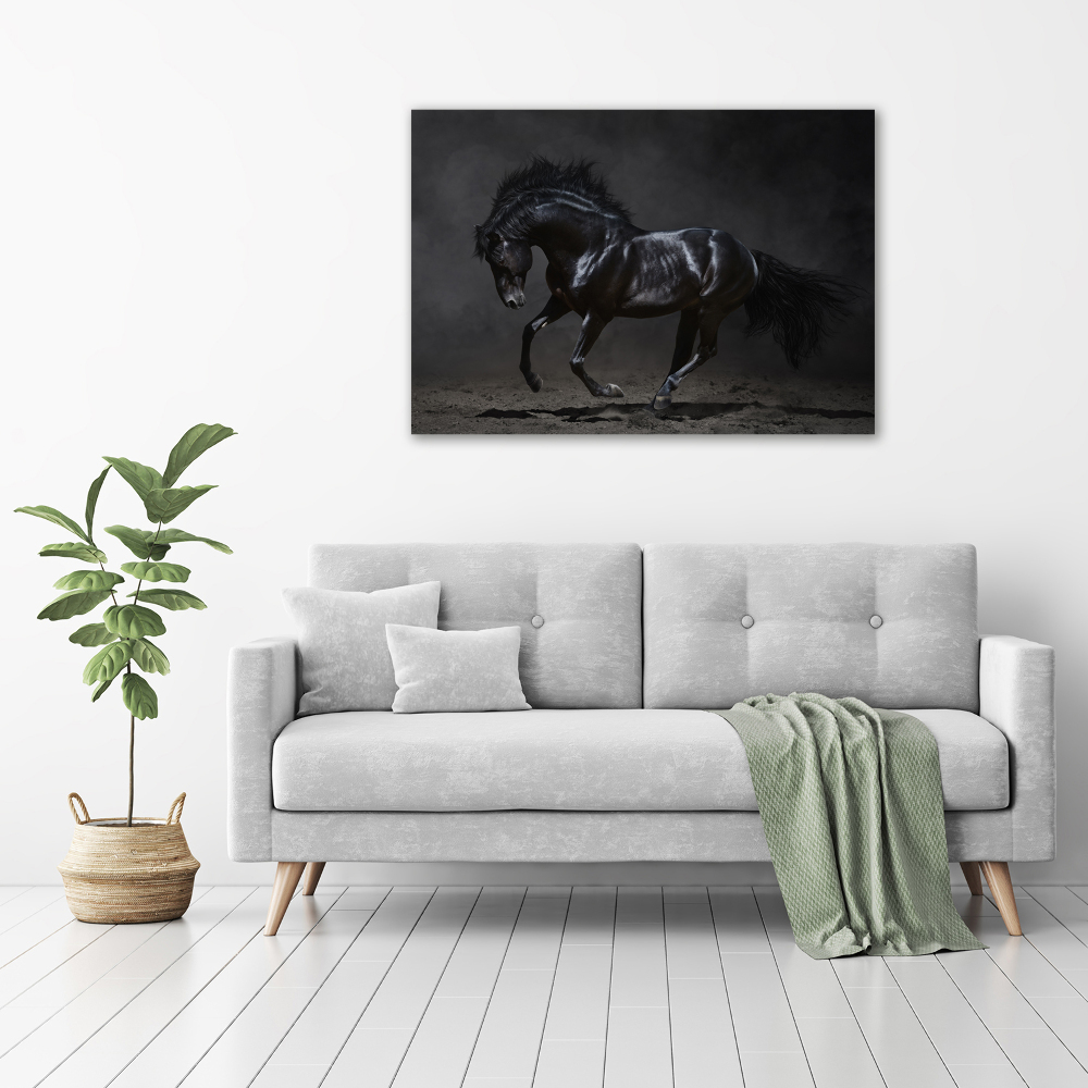 Wall art acrylic Black Horse