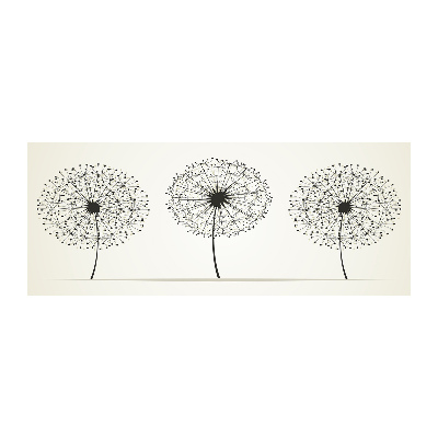 Print on acrylic dandelions