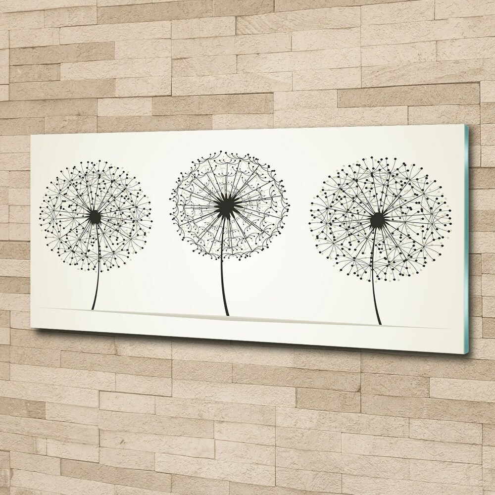 Print on acrylic dandelions