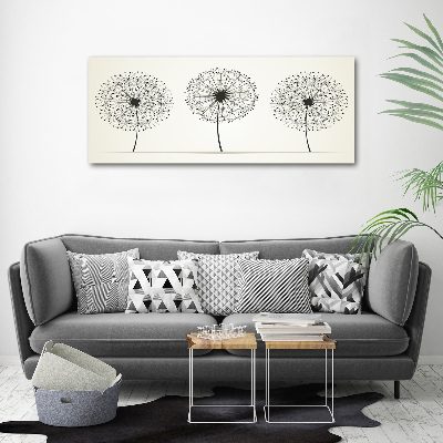 Print on acrylic dandelions