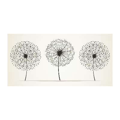 Print on acrylic dandelions