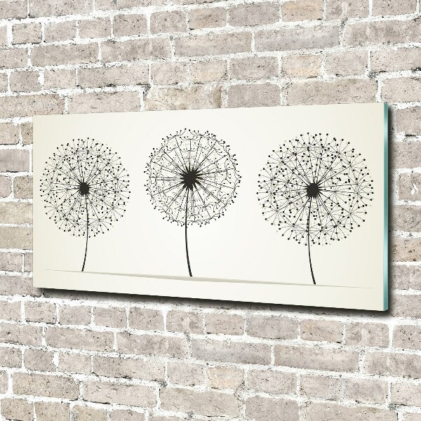 Print on acrylic dandelions