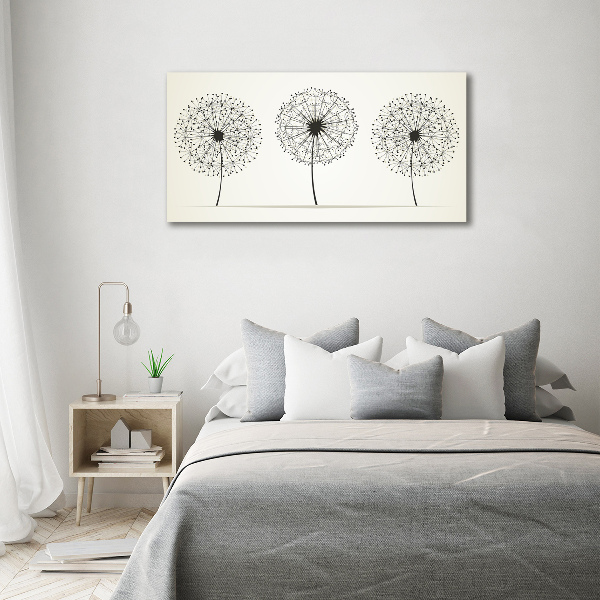 Print on acrylic dandelions