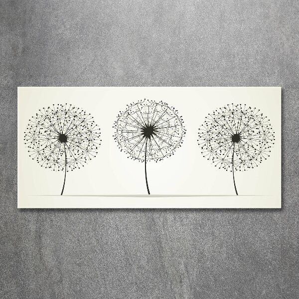 Print on acrylic dandelions