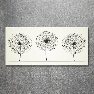 Print on acrylic dandelions