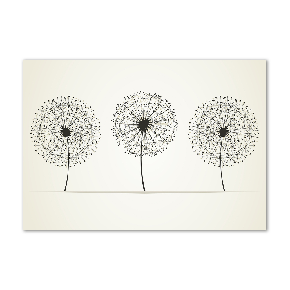 Print on acrylic dandelions