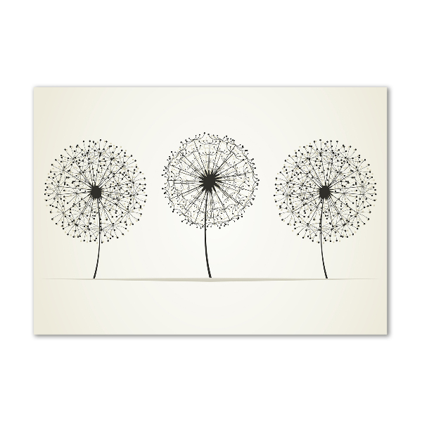 Print on acrylic dandelions