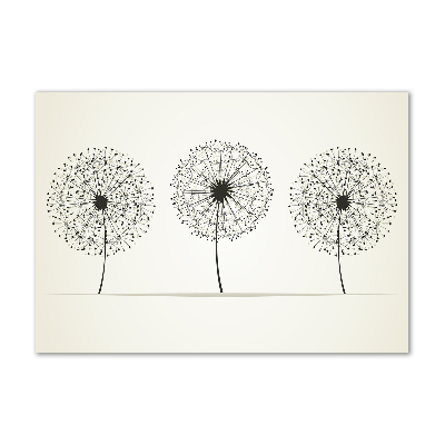 Print on acrylic dandelions