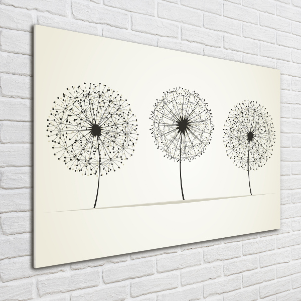 Print on acrylic dandelions