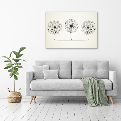 Print on acrylic dandelions