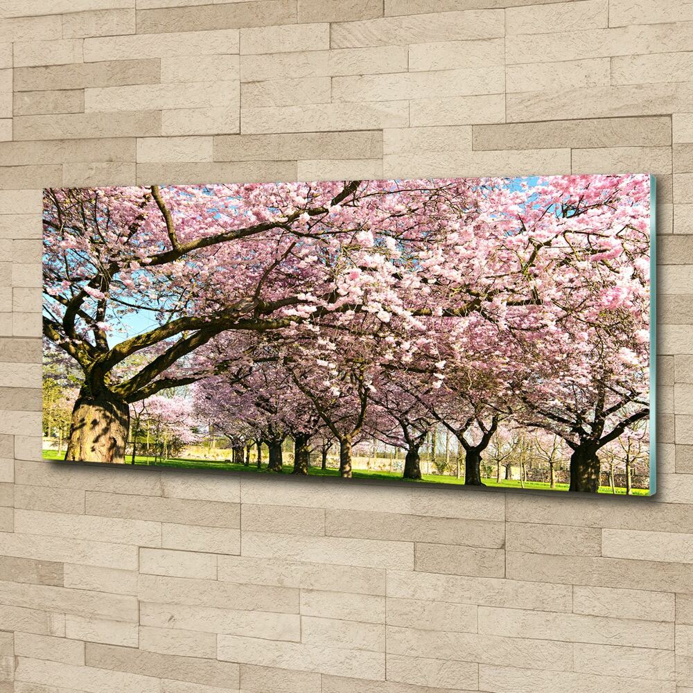 Print on acrylic Cherry trees