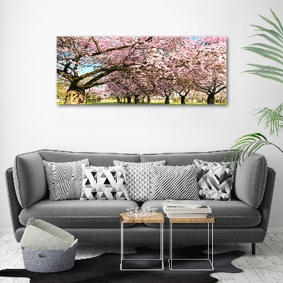 Print on acrylic Cherry trees