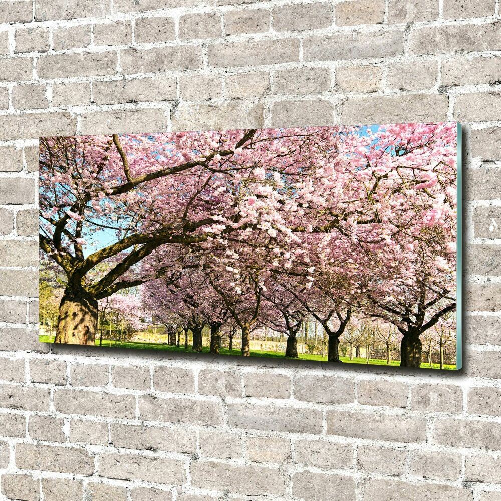 Print on acrylic Cherry trees