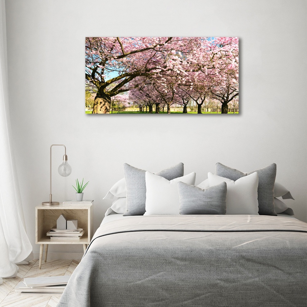 Print on acrylic Cherry trees