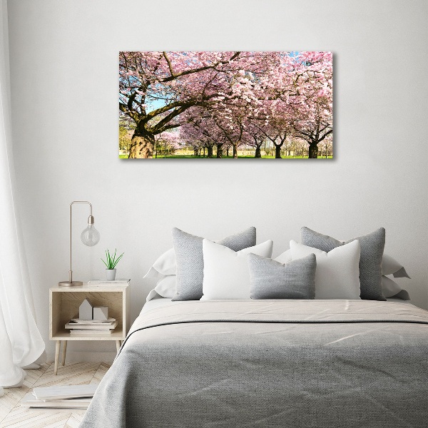 Print on acrylic Cherry trees