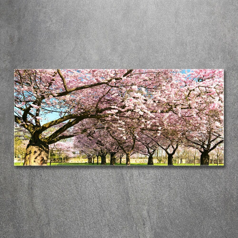 Print on acrylic Cherry trees