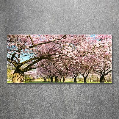 Print on acrylic Cherry trees