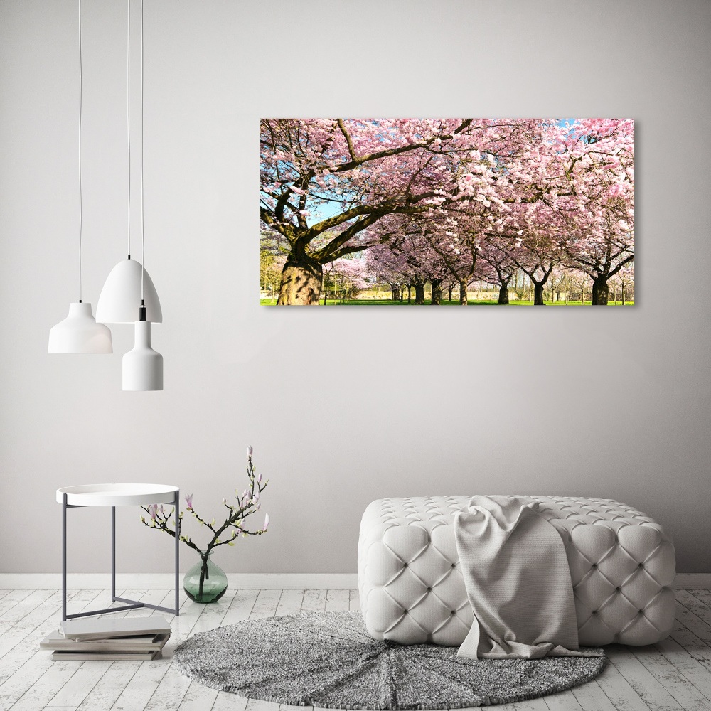 Print on acrylic Cherry trees