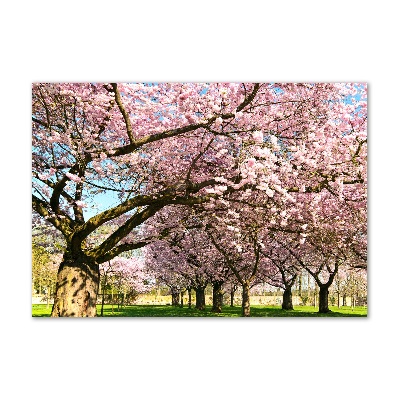 Print on acrylic Cherry trees