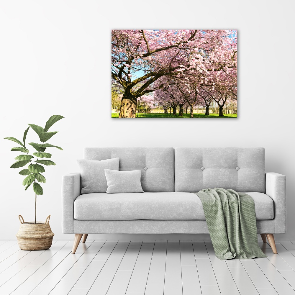 Print on acrylic Cherry trees