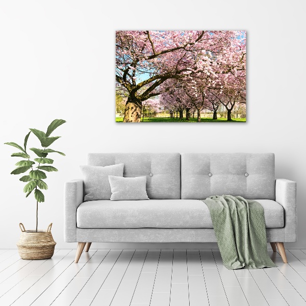 Print on acrylic Cherry trees