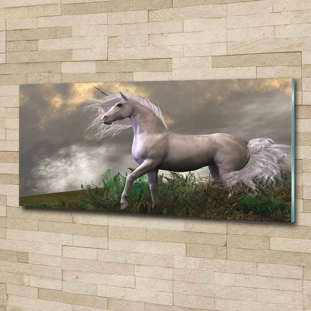 Wall art acrylic Gray unicorn