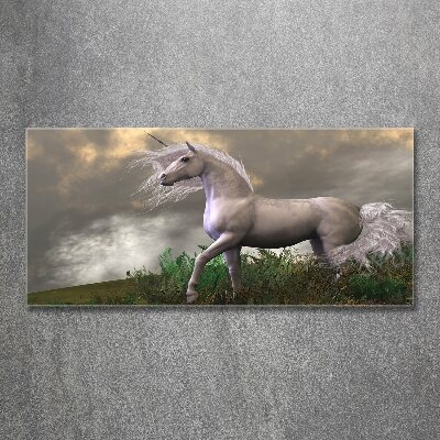 Wall art acrylic Gray unicorn