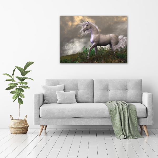 Wall art acrylic Gray unicorn