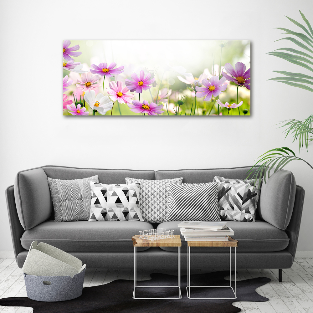 Print on acrylic Flowers in the meadow