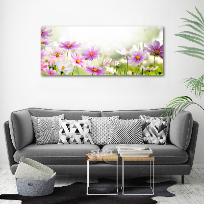 Print on acrylic Flowers in the meadow